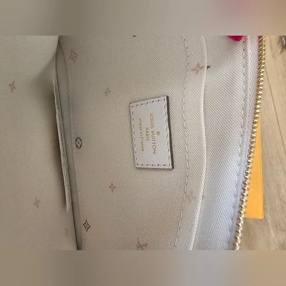 Louis Vuitton Neverfull pouch spring by the city sunset khaki kaki - Picture 9 of 10